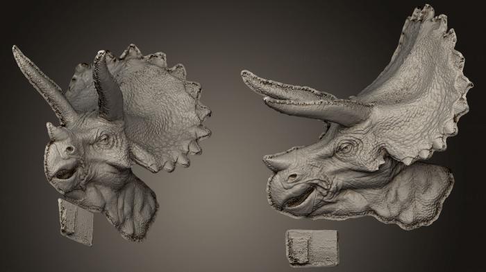Masks and muzzles of animals (MSKJ_0113) 3D model for CNC machine